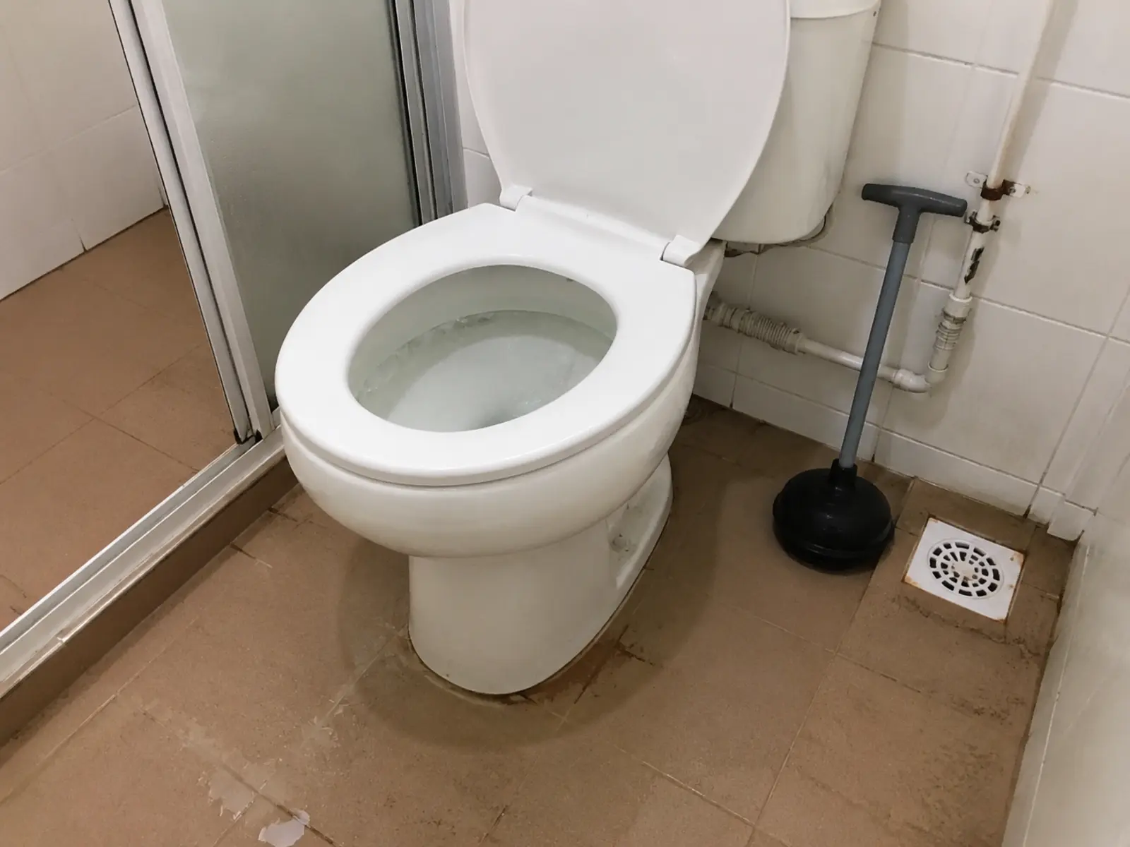 Toilet repair