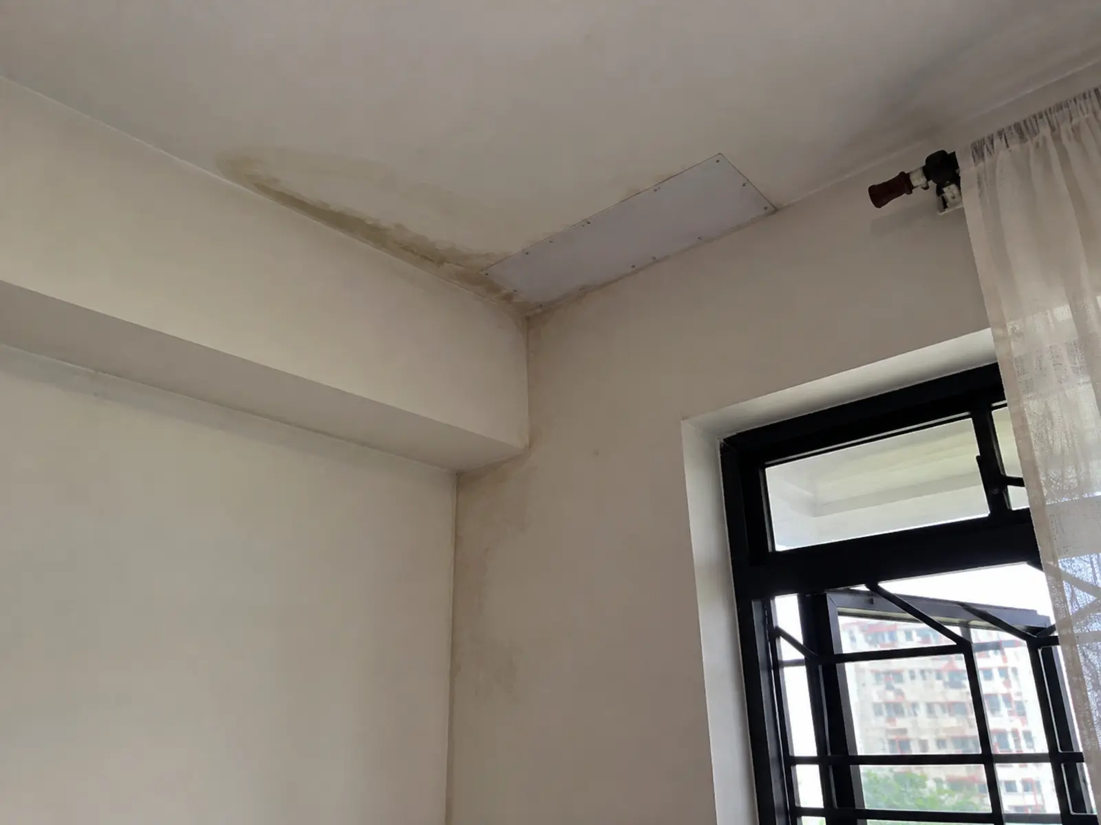 Ceiling leak and damp wall